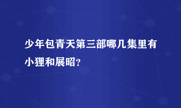 少年包青天第三部哪几集里有小狸和展昭？