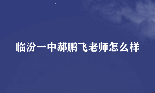 临汾一中郝鹏飞老师怎么样