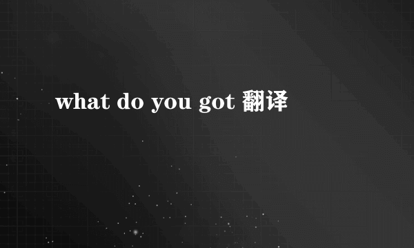 what do you got 翻译