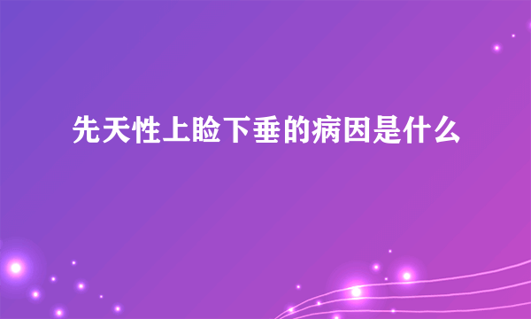 先天性上睑下垂的病因是什么