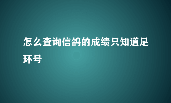 怎么查询信鸽的成绩只知道足环号