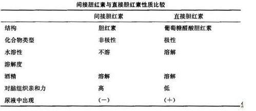 直接胆红素偏高有什么危害