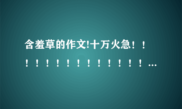 含羞草的作文!十万火急！！！！！！！！！！！！！！！！！！！！！！！！！！！