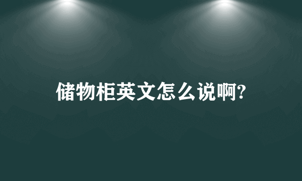 储物柜英文怎么说啊?