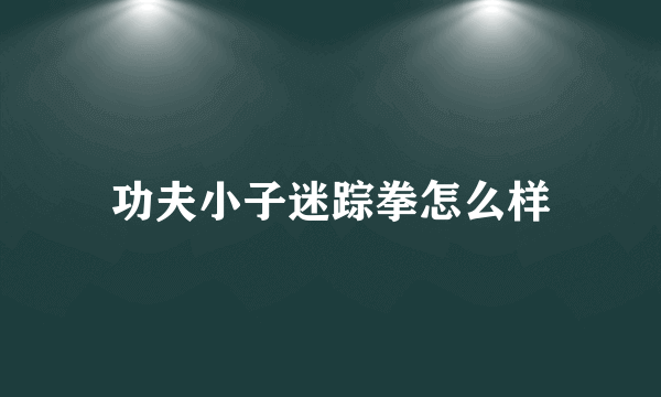 功夫小子迷踪拳怎么样