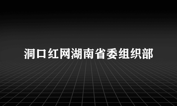 洞口红网湖南省委组织部