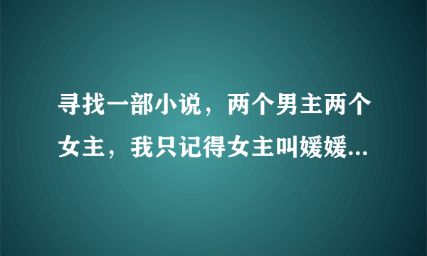 寻找一部小说，两个男主两个女主，我只记得女主叫媛媛和露丝，男主是打游戏时穿越的