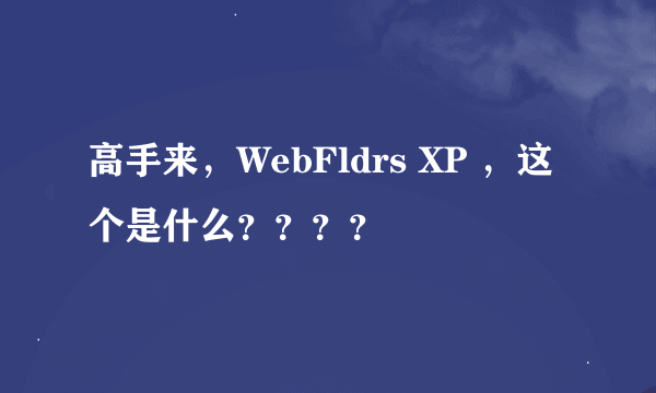 高手来，WebFldrs XP ，这个是什么？？？？