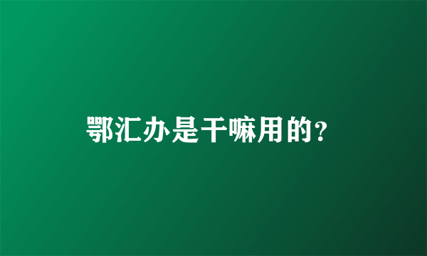 鄂汇办是干嘛用的？