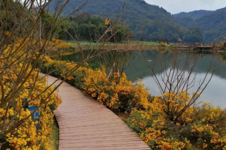 常德旅游必去十大景点