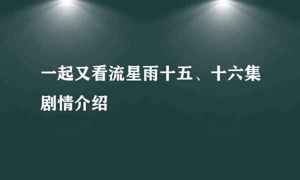 一起又看流星雨十五、十六集剧情介绍