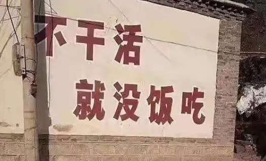 都市丽人是什么意思