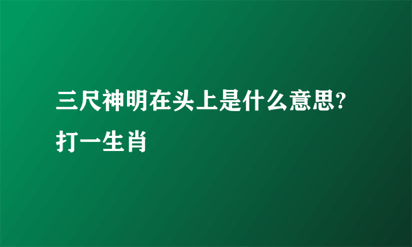 三尺神明在头上是什么意思?打一生肖