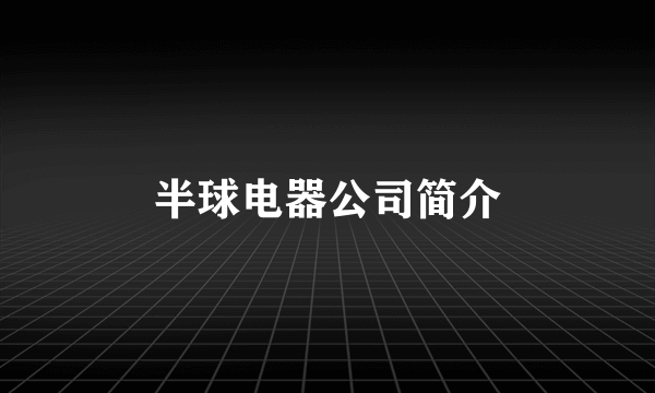 半球电器公司简介