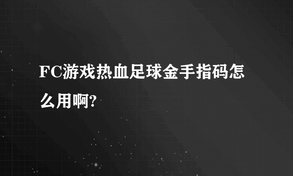 FC游戏热血足球金手指码怎么用啊?