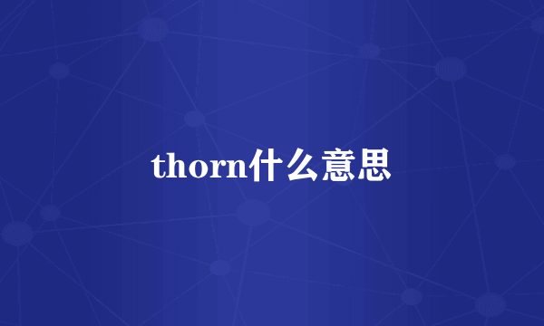 thorn什么意思