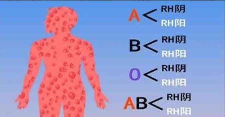 Ｂ型ＲＨ阴性血到底是什么样的血型？