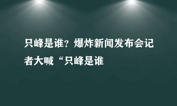 只峰是谁？爆炸新闻发布会记者大喊“只峰是谁