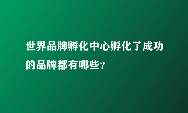 世界品牌孵化中心孵化了成功的品牌都有哪些？