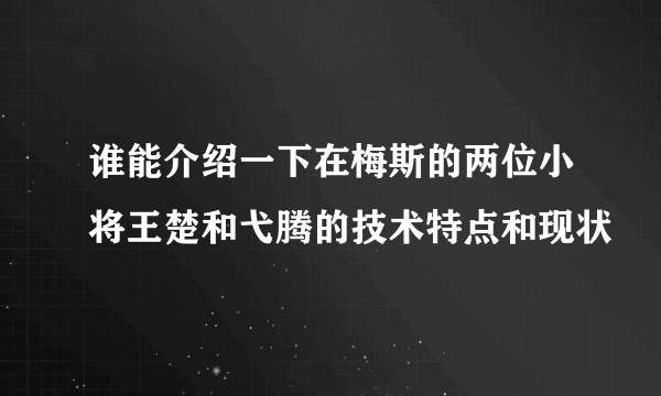 谁能介绍一下在梅斯的两位小将王楚和弋腾的技术特点和现状