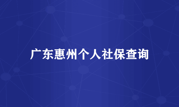 广东惠州个人社保查询