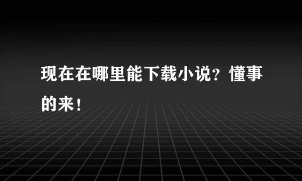 现在在哪里能下载小说？懂事的来！