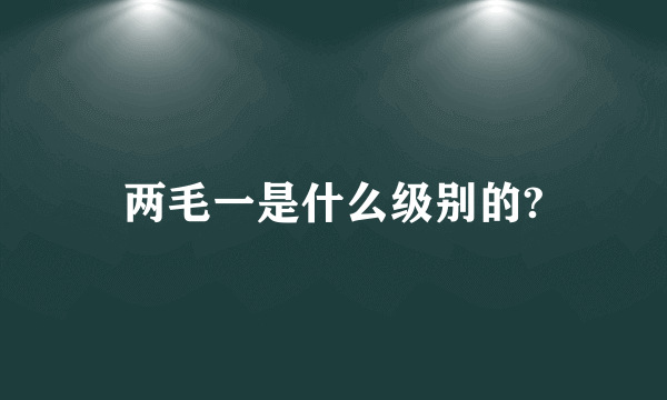 两毛一是什么级别的?