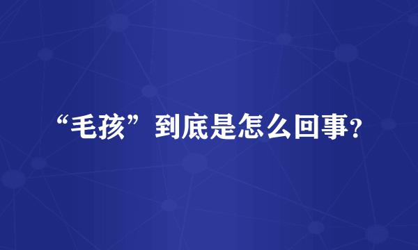 “毛孩”到底是怎么回事？