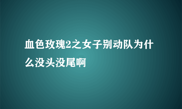 血色玫瑰2之女子别动队为什么没头没尾啊