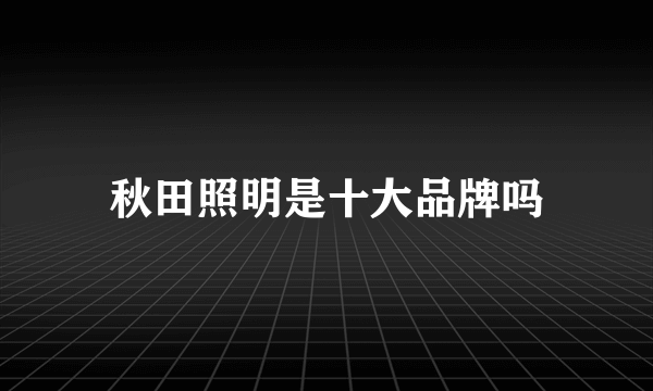 秋田照明是十大品牌吗