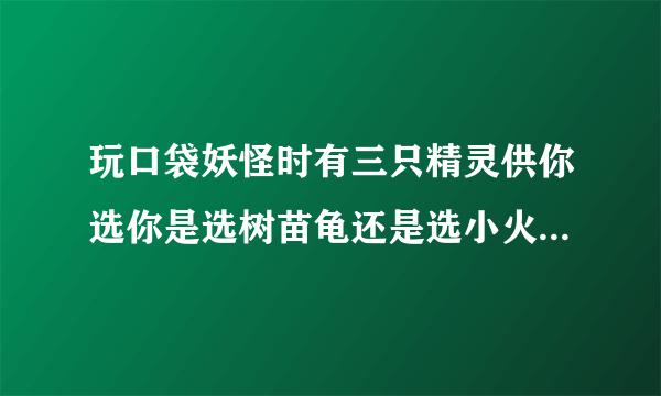 玩口袋妖怪时有三只精灵供你选你是选树苗龟还是选小火猴还是圆企鹅。