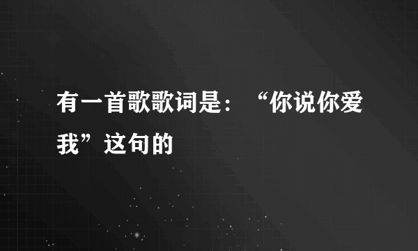 有一首歌歌词是：“你说你爱我”这句的