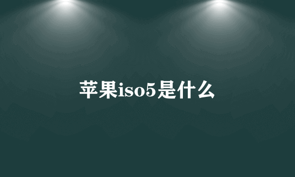 苹果iso5是什么