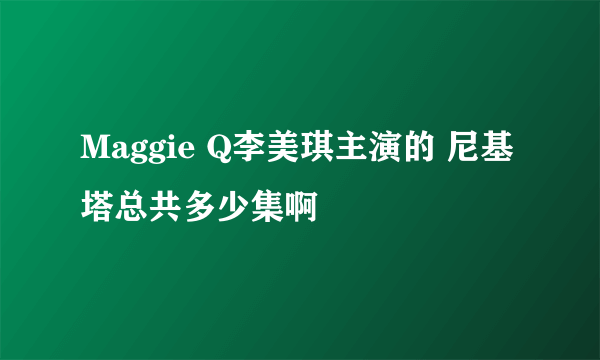 Maggie Q李美琪主演的 尼基塔总共多少集啊