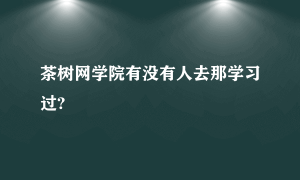 茶树网学院有没有人去那学习过?