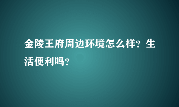 金陵王府周边环境怎么样？生活便利吗？