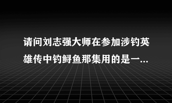 请问刘志强大师在参加涉钓英雄传中钓鲟鱼那集用的是一支什么牌的台钓竿？