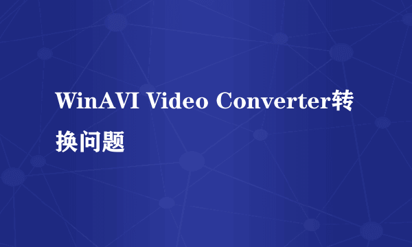 WinAVI Video Converter转换问题