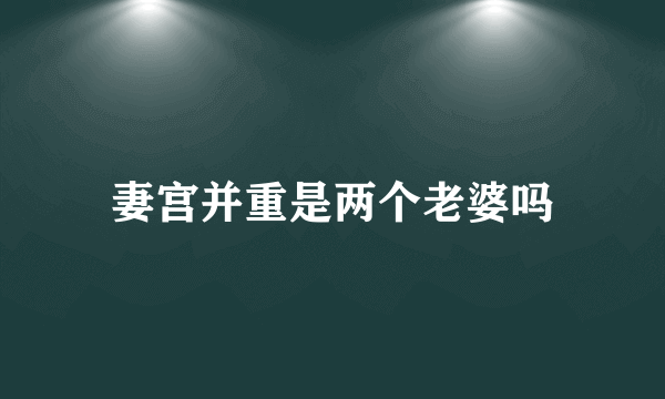 妻宫并重是两个老婆吗