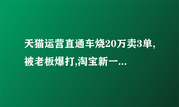 天猫运营直通车烧20万卖3单,被老板爆打,淘宝新一轮进大洗牌已经�