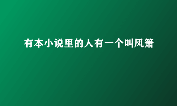 有本小说里的人有一个叫凤箫