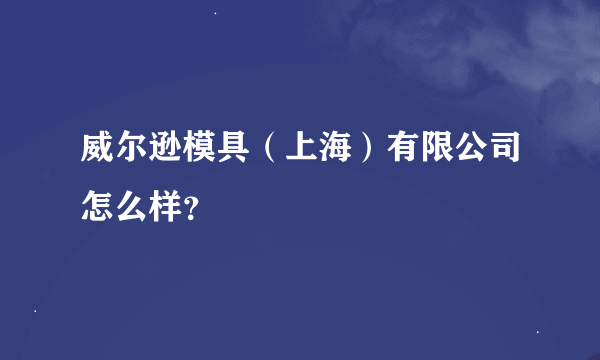 威尔逊模具（上海）有限公司怎么样？