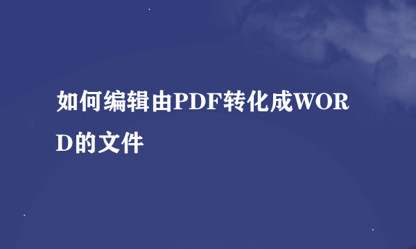 如何编辑由PDF转化成WORD的文件