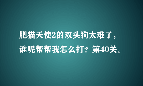 肥猫天使2的双头狗太难了，谁呢帮帮我怎么打？第40关。