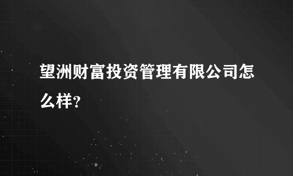 望洲财富投资管理有限公司怎么样？