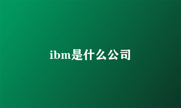 ibm是什么公司