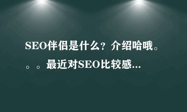 SEO伴侣是什么？介绍哈哦。。。最近对SEO比较感兴趣，有专业人士吗？