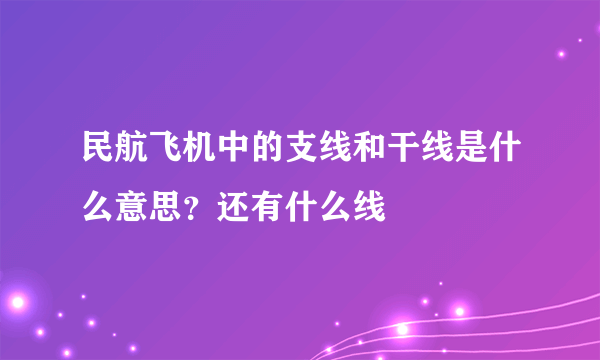 民航飞机中的支线和干线是什么意思？还有什么线