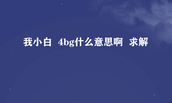 我小白  4bg什么意思啊  求解