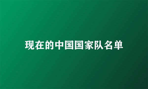 现在的中国国家队名单